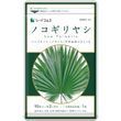 От простатита и частого мочеиспускания &mdash; Saw Palmetto + тыквенное масло, Seedcoms Япония, 90 капсул, 90 дней